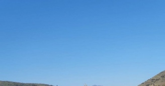 Фото Упрямая Шишига №5